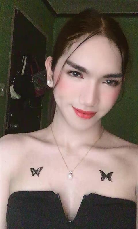 andreatimbol