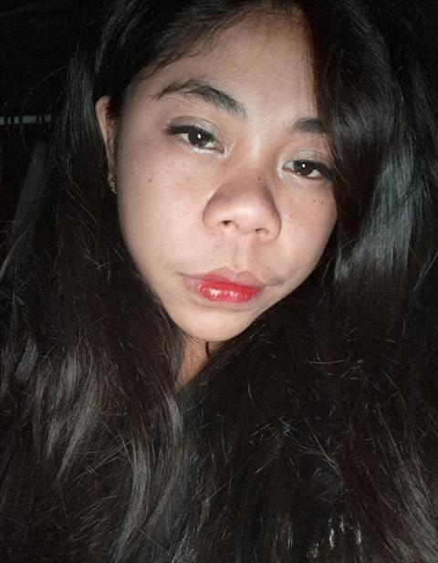 brigel