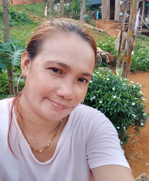 imely