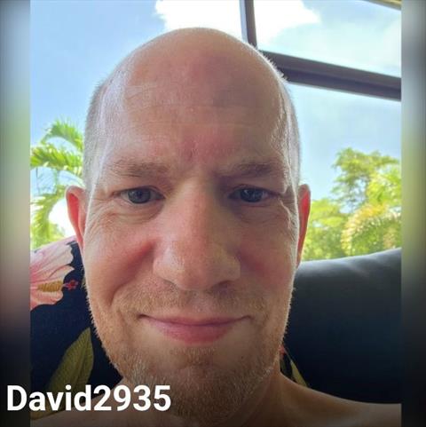 DamDave