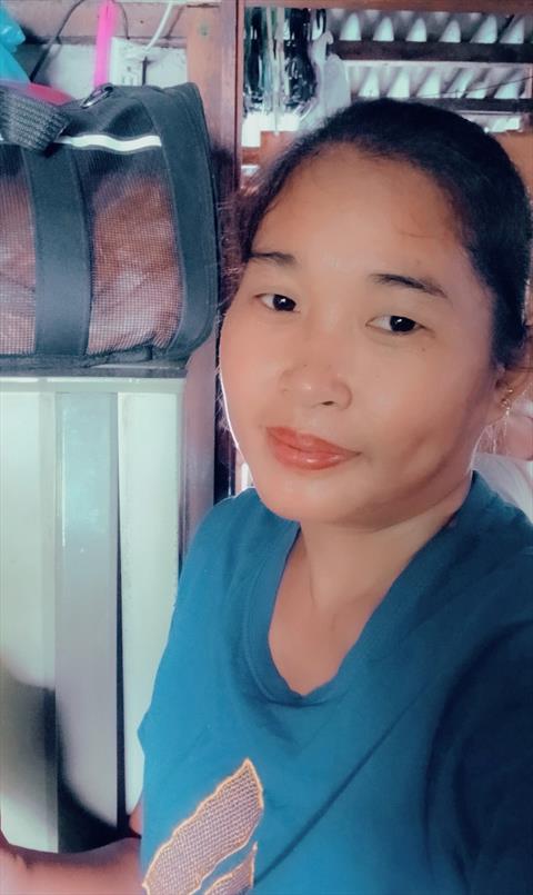 insik