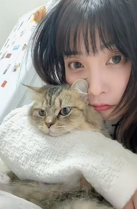 mingli
