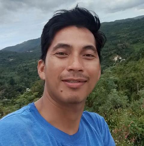 vinz31