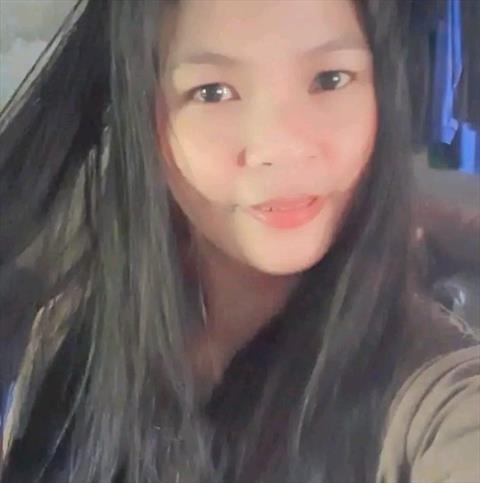 cat si