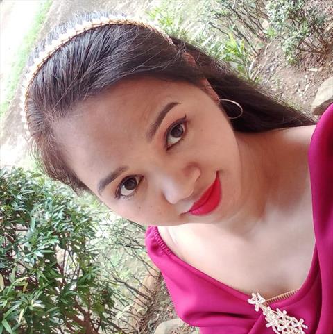Shary avis