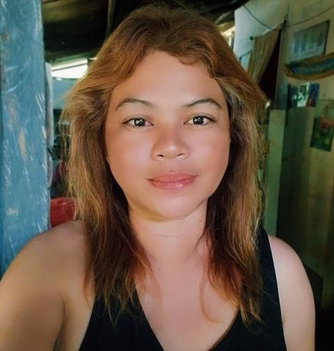 analo
