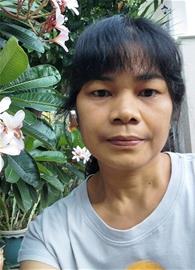 hiso