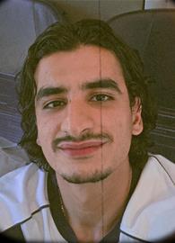 ayman0