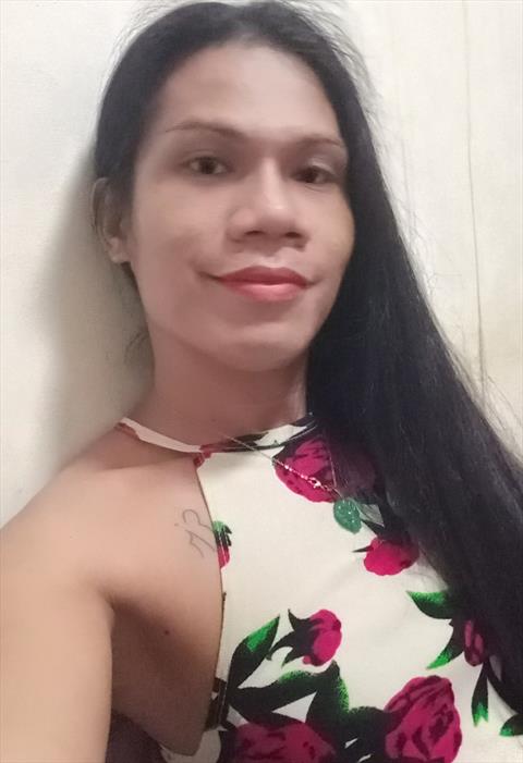 rogiebasilio
