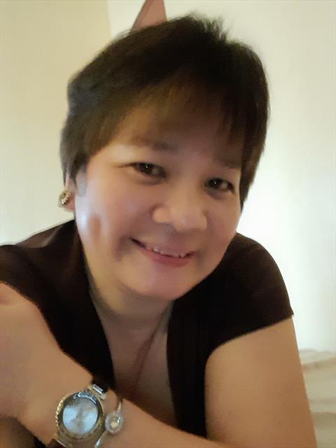 vivskie 3378