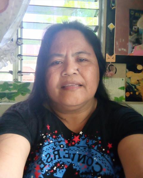 Carol Plaza