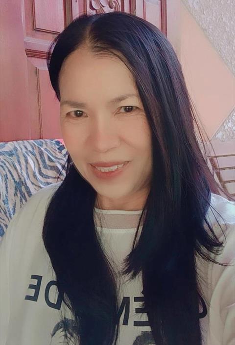 Nipa50