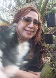 Amada sanosa agner
