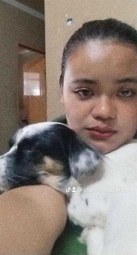 xyl