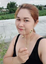 Melisaj