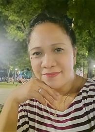 nylvee