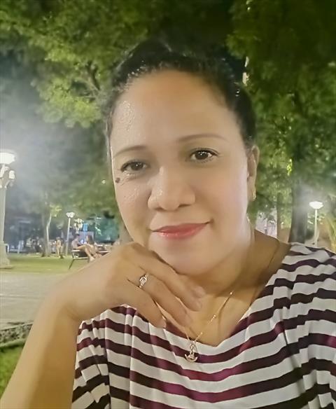 nylvee