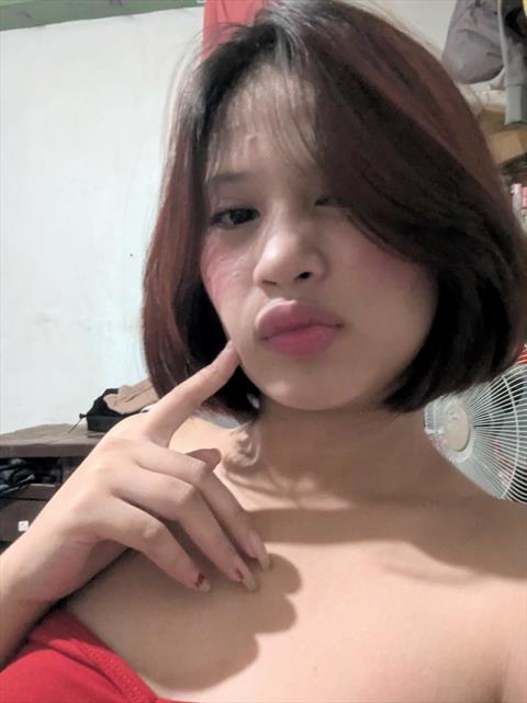 zynryn