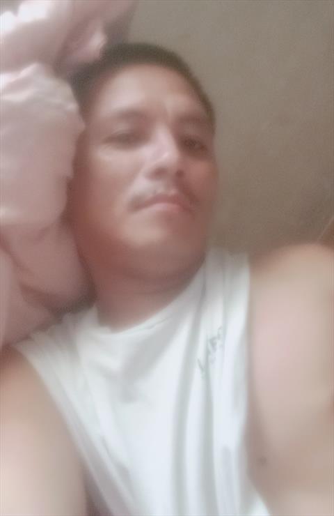 Zoul