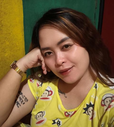Cess2026