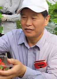 hoseo