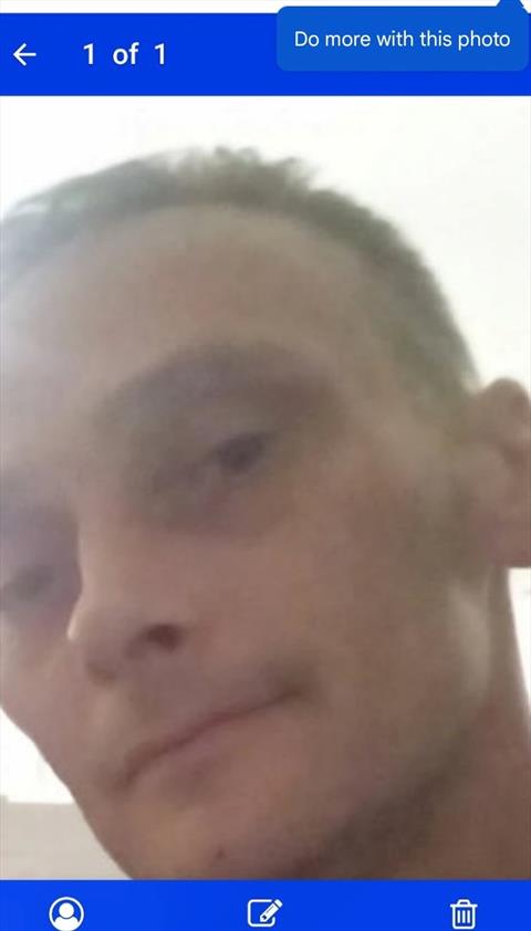 stew