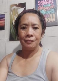 Rose221