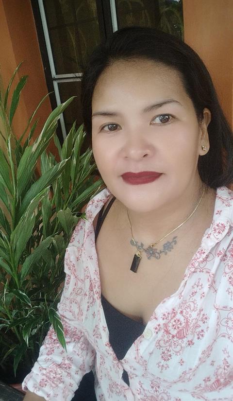 lindaceriaca