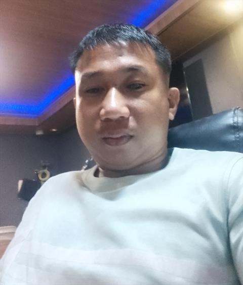 dyes terisi