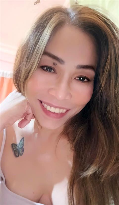 sweet zenn