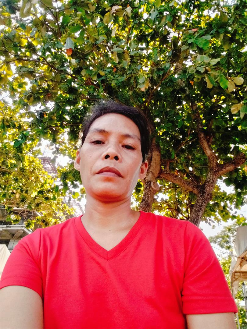 suldy