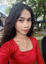 stelli