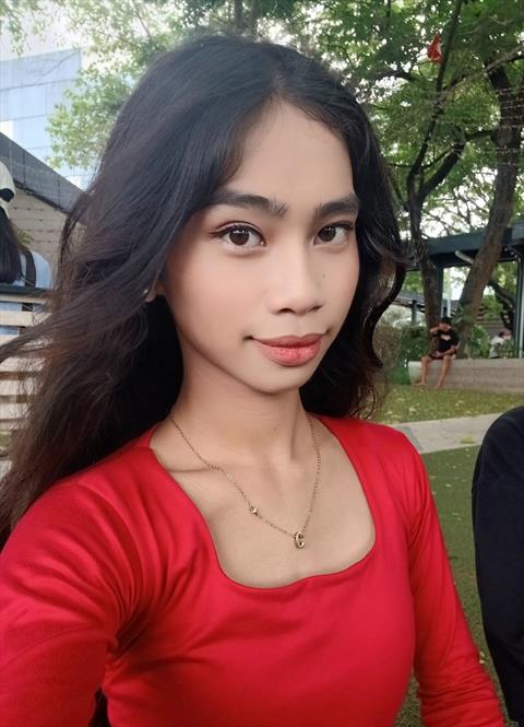 stelli