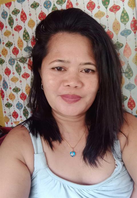 Rose santua