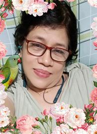 alegreelize