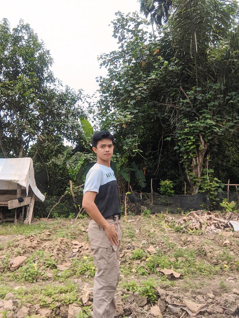 dimasyudhas