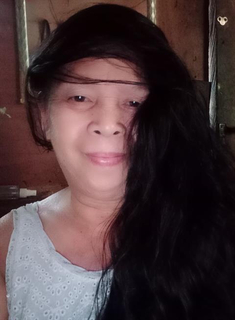 Emsabsent