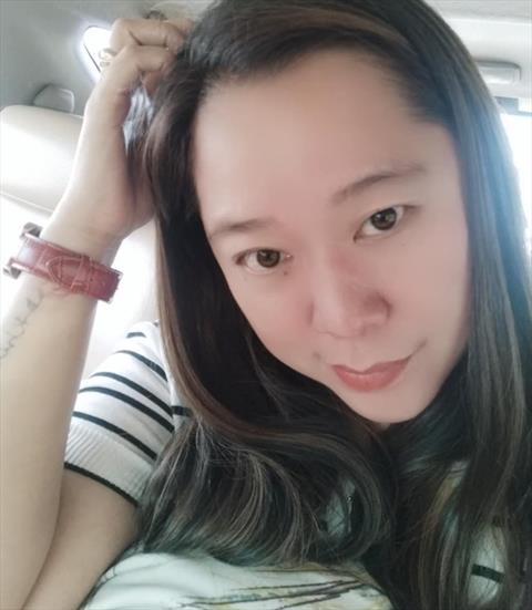 sunflower_26