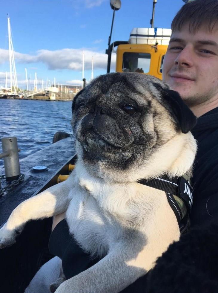 dylzamurf