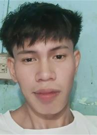 aivandelfin