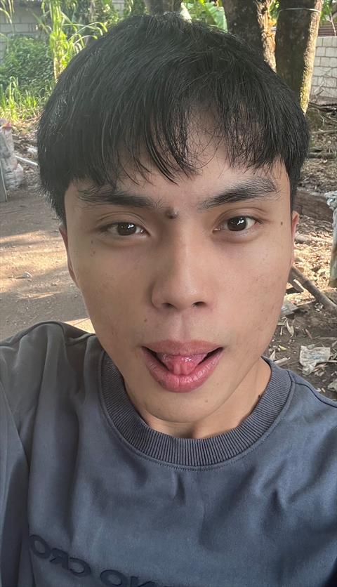 elysivr