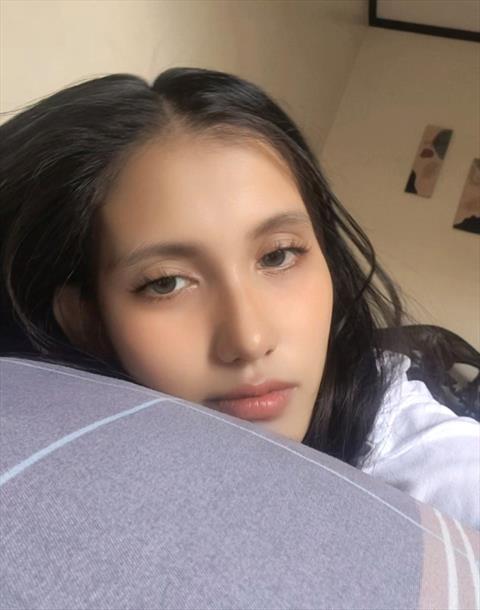 Cecel 24