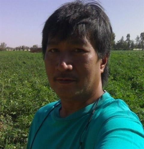 rauland