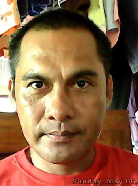 alvie