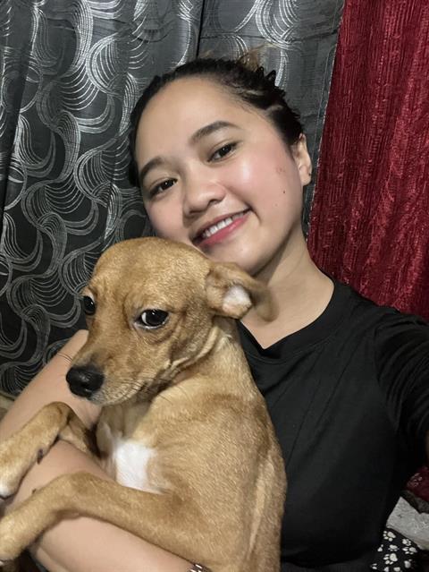 Zlezee