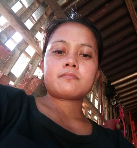 Loreng