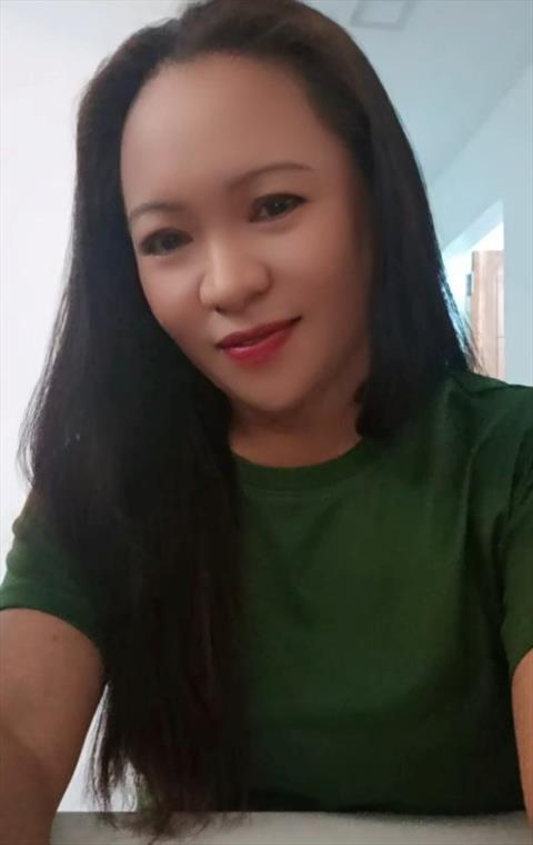 bingsdy