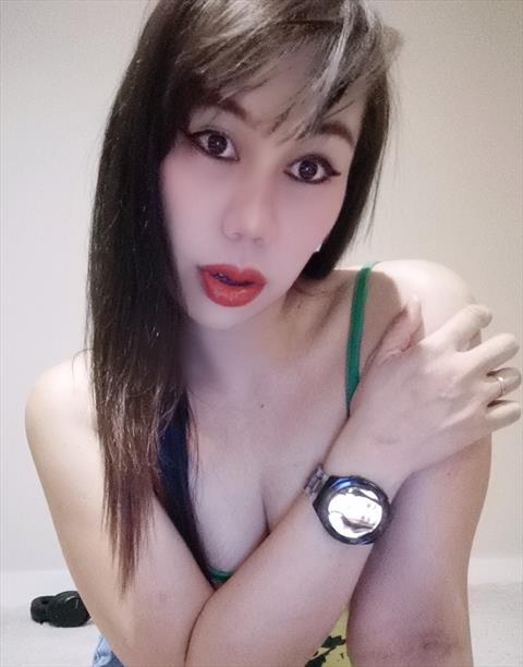 MAJASTY