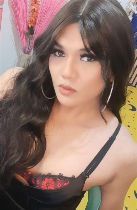 topdomLB37