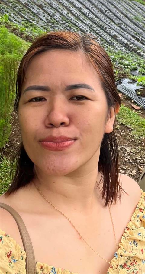 sunshine_seno